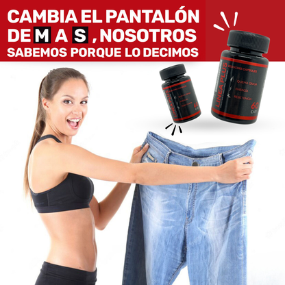 LINEA PLUS